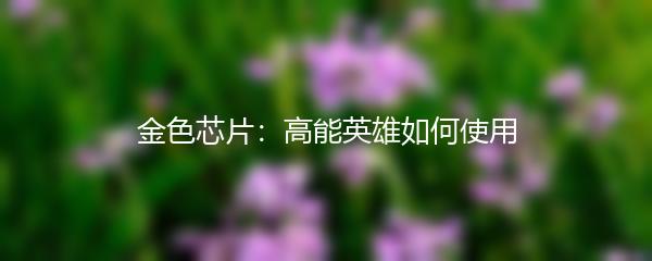 金色芯片：高能英雄如何使用