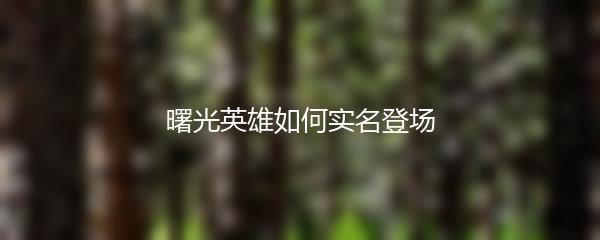 曙光英雄如何实名登场
