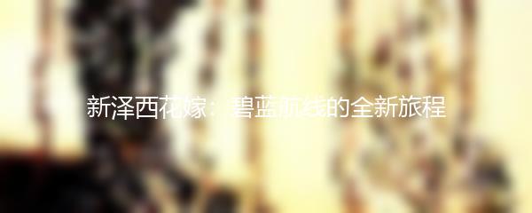 新泽西花嫁：碧蓝航线的全新旅程