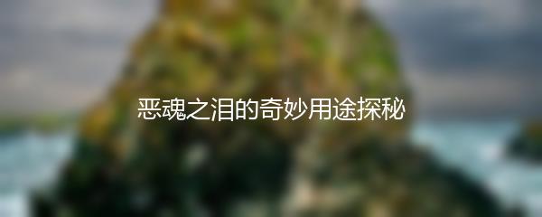 恶魂之泪的奇妙用途探秘