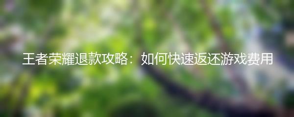 王者荣耀退款攻略：如何快速返还游戏费用