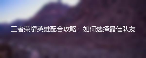 王者荣耀英雄配合攻略：如何选择最佳队友