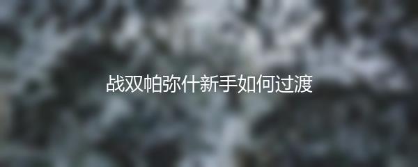 战双帕弥什新手如何过渡