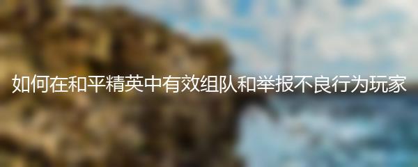 如何在和平精英中有效组队和举报不良行为玩家