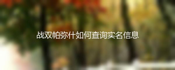 战双帕弥什如何查询实名信息