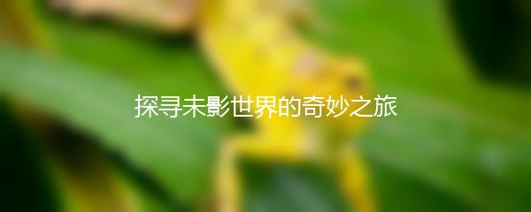 探寻未影世界的奇妙之旅