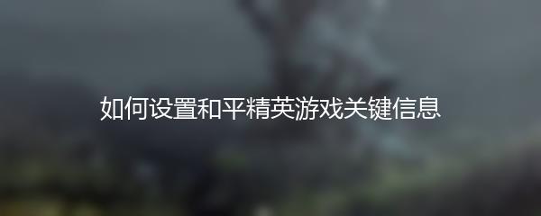 如何设置和平精英游戏关键信息