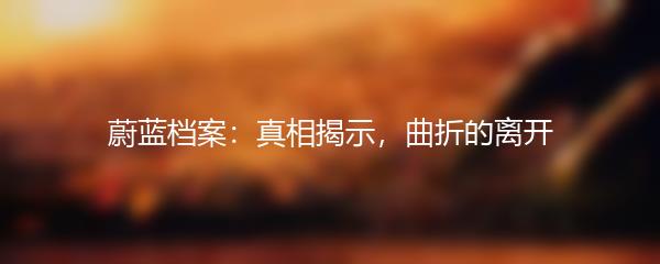 蔚蓝档案：真相揭示，曲折的离开