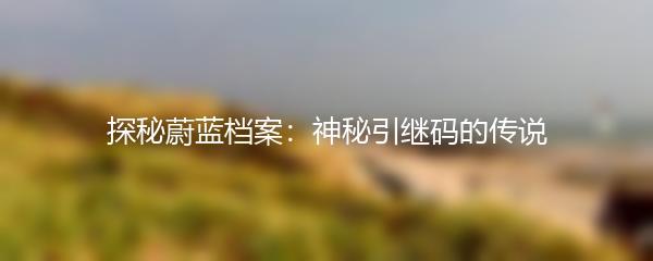 探秘蔚蓝档案：神秘引继码的传说
