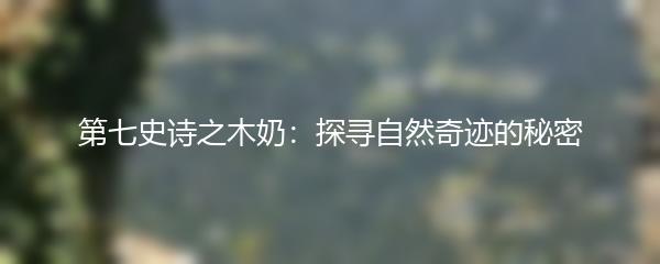 第七史诗之木奶：探寻自然奇迹的秘密