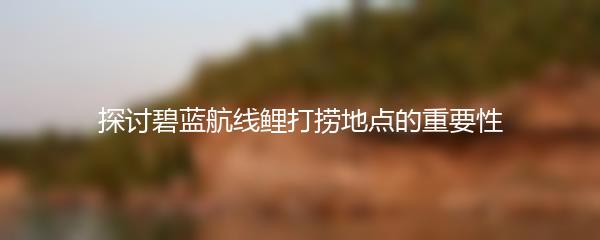 探讨碧蓝航线鲤打捞地点的重要性
