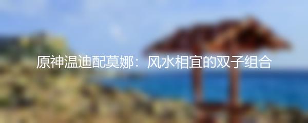 原神温迪配莫娜：风水相宜的双子组合