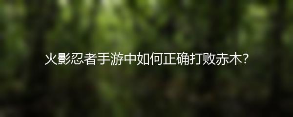 火影忍者手游中如何正确打败赤木？