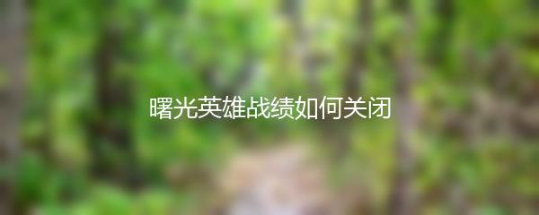 曙光英雄战绩如何关闭