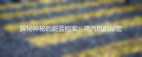 探秘神秘的蔚蓝档案：蒸汽机的秘密