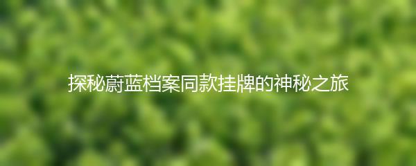 探秘蔚蓝档案同款挂牌的神秘之旅