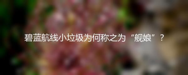 碧蓝航线小垃圾为何称之为“舰娘”？