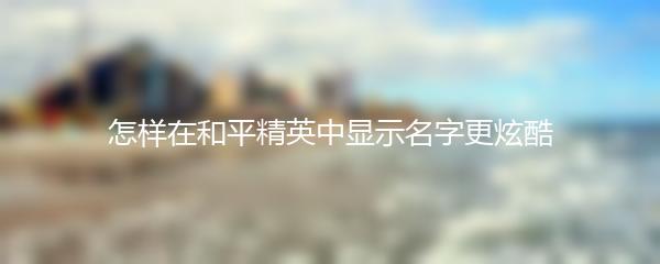 怎样在和平精英中显示名字更炫酷