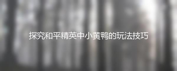 探究和平精英中小黄鸭的玩法技巧