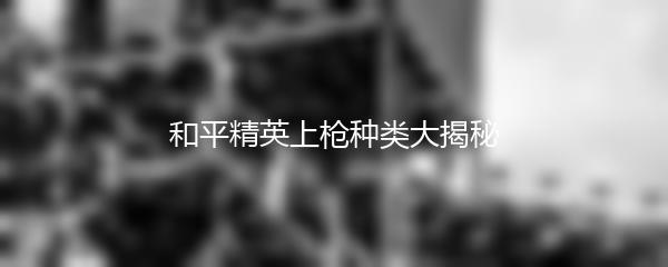 和平精英上枪种类大揭秘