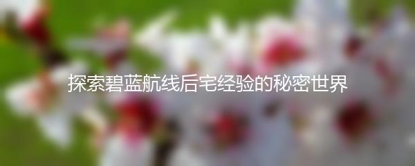 探索碧蓝航线后宅经验的秘密世界