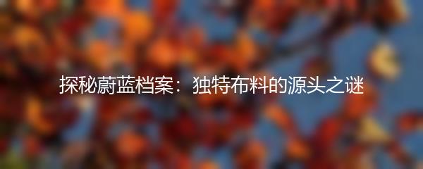 探秘蔚蓝档案：独特布料的源头之谜