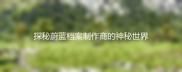 探秘蔚蓝档案制作商的神秘世界