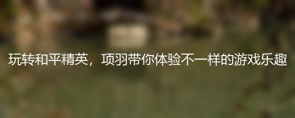 玩转和平精英，项羽带你体验不一样的游戏乐趣