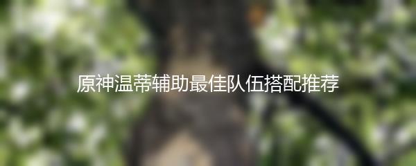 原神温蒂辅助最佳队伍搭配推荐