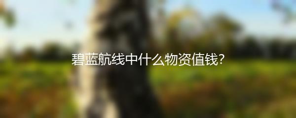 碧蓝航线中什么物资值钱？