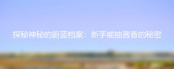 探秘神秘的蔚蓝档案：新手能抽茜香的秘密