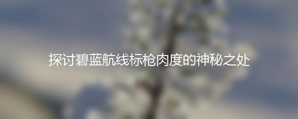 探讨碧蓝航线标枪肉度的神秘之处