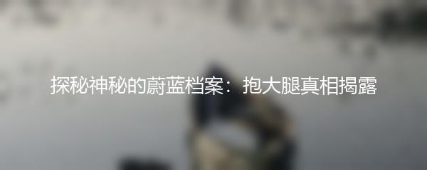 探秘神秘的蔚蓝档案：抱大腿真相揭露