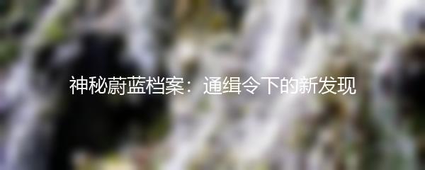 神秘蔚蓝档案：通缉令下的新发现