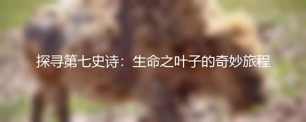 探寻第七史诗：生命之叶子的奇妙旅程