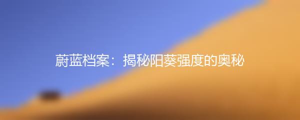 蔚蓝档案：揭秘阳葵强度的奥秘