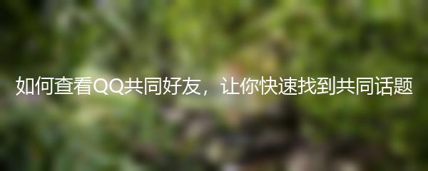 如何查看QQ共同好友，让你快速找到共同话题