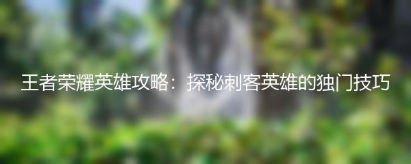 王者荣耀英雄攻略：探秘刺客英雄的独门技巧