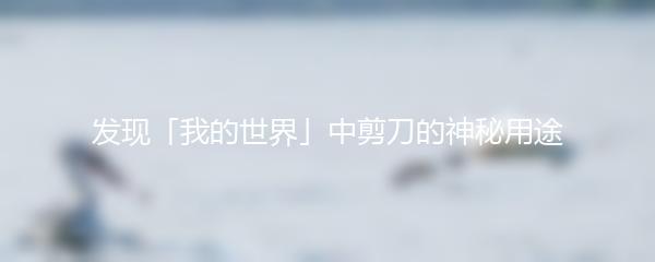 发现「我的世界」中剪刀的神秘用途