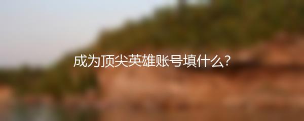 成为顶尖英雄账号填什么？