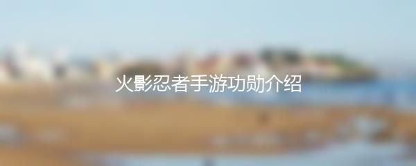 火影忍者手游功勋介绍