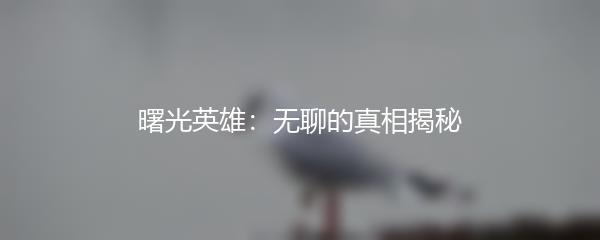 曙光英雄：无聊的真相揭秘