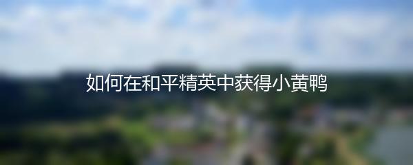 如何在和平精英中获得小黄鸭