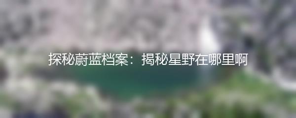 探秘蔚蓝档案：揭秘星野在哪里啊