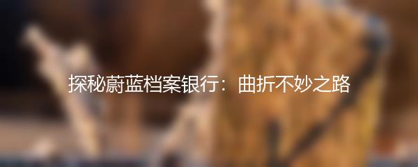 探秘蔚蓝档案银行：曲折不妙之路