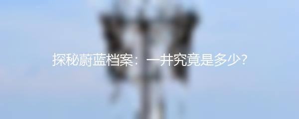 探秘蔚蓝档案：一井究竟是多少？