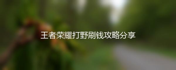 王者荣耀打野刷钱攻略分享