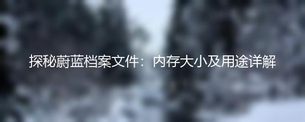探秘蔚蓝档案文件：内存大小及用途详解