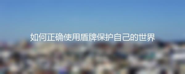 如何正确使用盾牌保护自己的世界