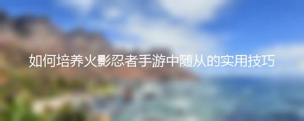 如何培养火影忍者手游中随从的实用技巧